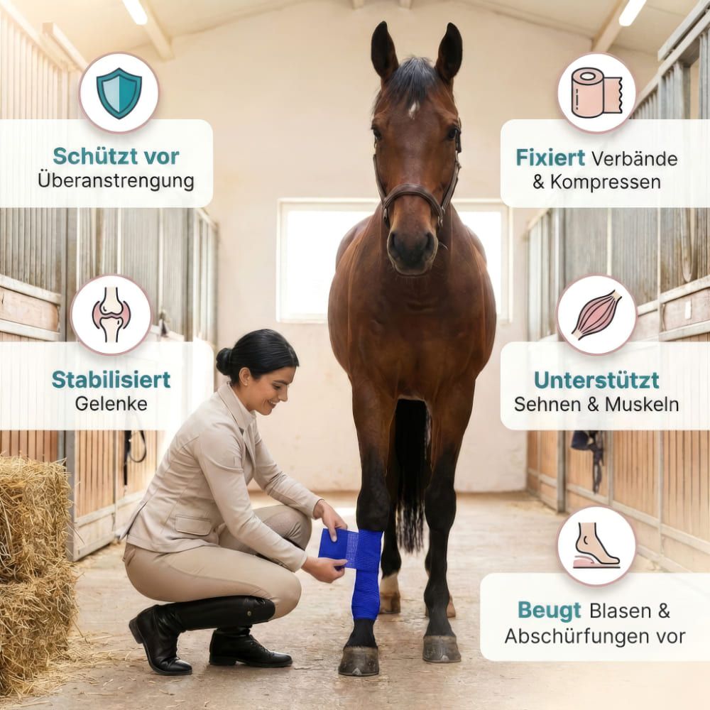 Frau legt Pferd Bandage an. Text: Schützt, fixiert, stabilisiert, unterstützt, beugt. Logos: Gelenke, Muskeln.