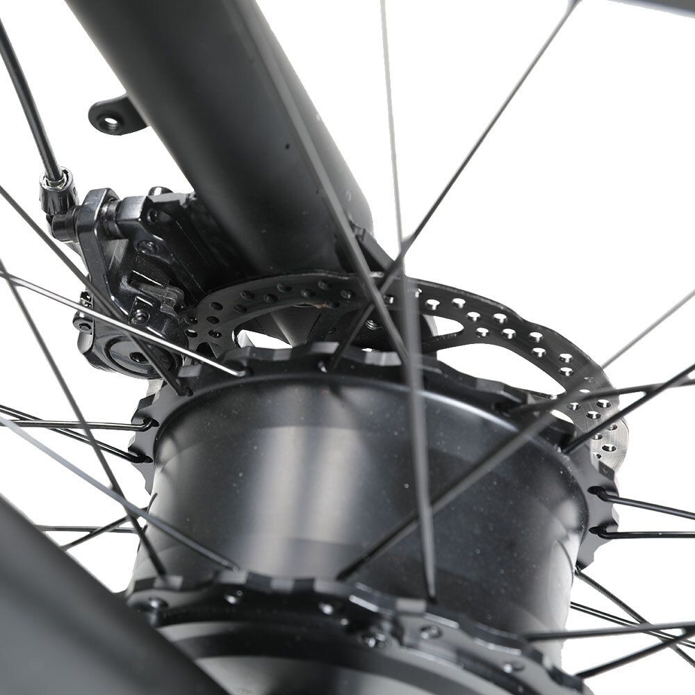RICH BIT C01 Elektrisches Mountainbike, 48V 20Ah Akku, Vollfederung