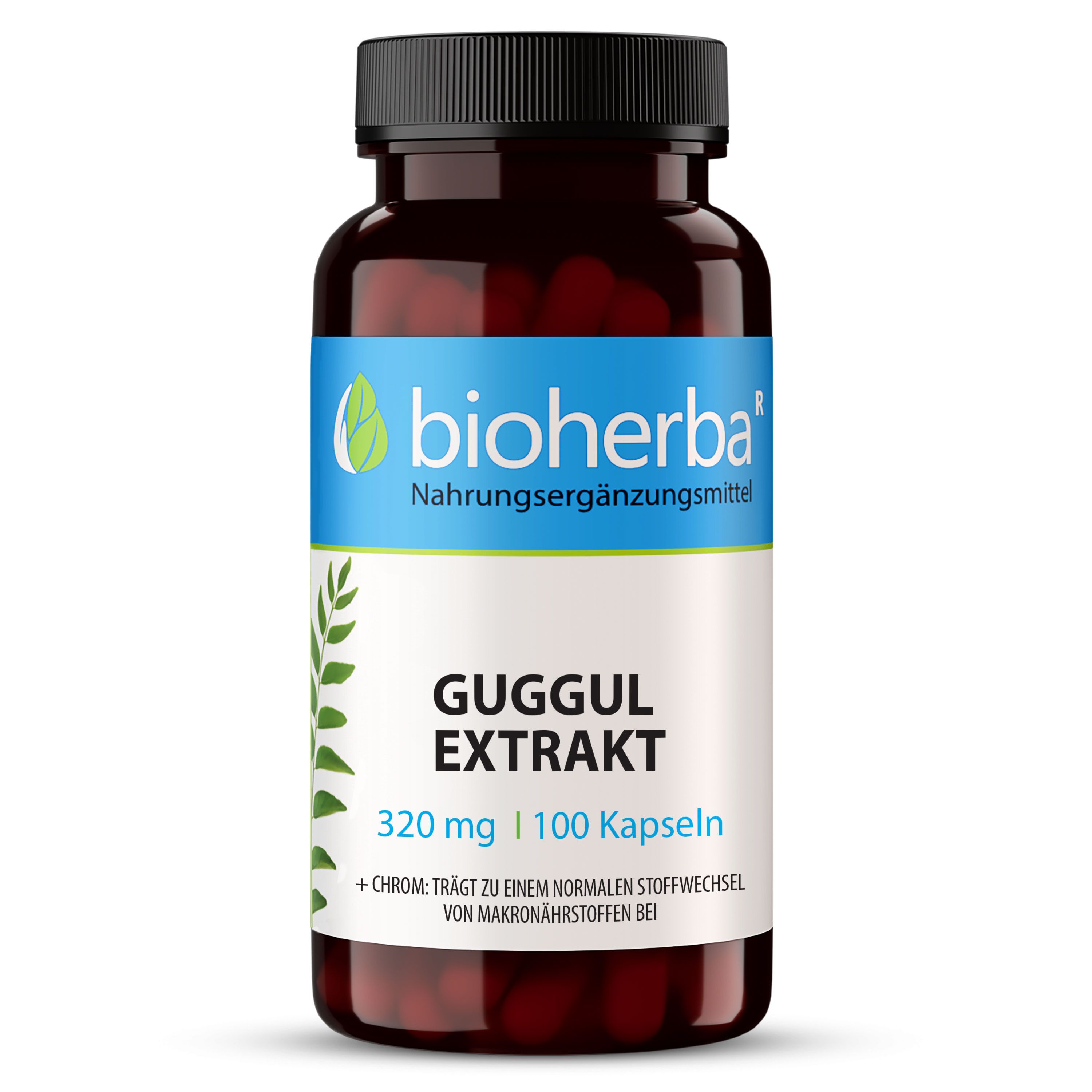 Braune Flasche mit schwarzen Deckel. Enthält Kapseln. Etikett mit Produktname: Guggul Extrakt, 320 mg, 100 Kapseln. Marke: Bioherba.