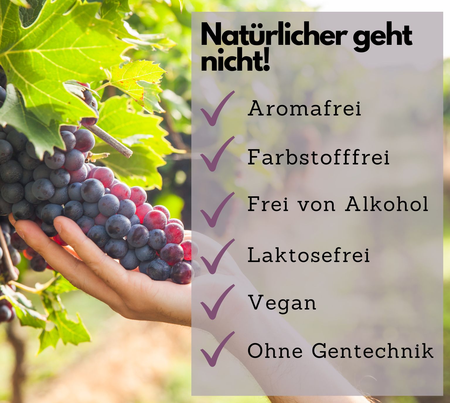 Hand hält Trauben. Text: Aromafrei, Farbstofffrei, Frei von Alkohol, Laktosefrei, Vegan, Ohne Gentechnik.