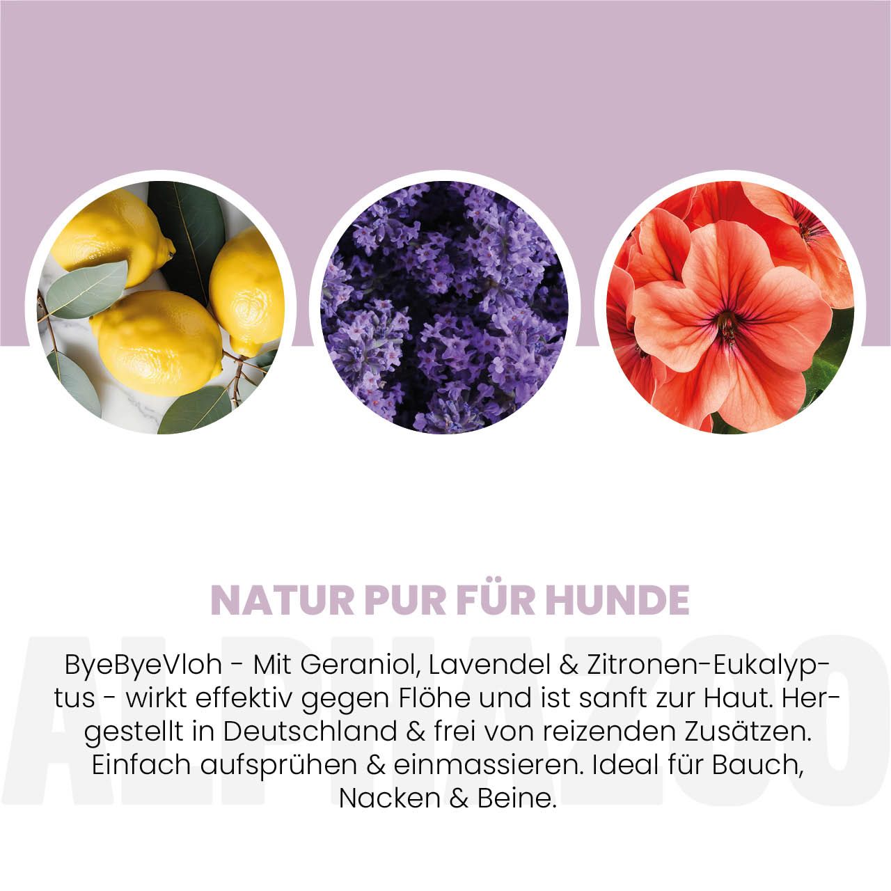 Kreisförmige Abbildungen von Zitrone, Lavendel und Blüte. Text: Natur pur für Hunde. ByeByeVloh mit Geraniol, Lavendel & Zitronen-Eukalyptus.