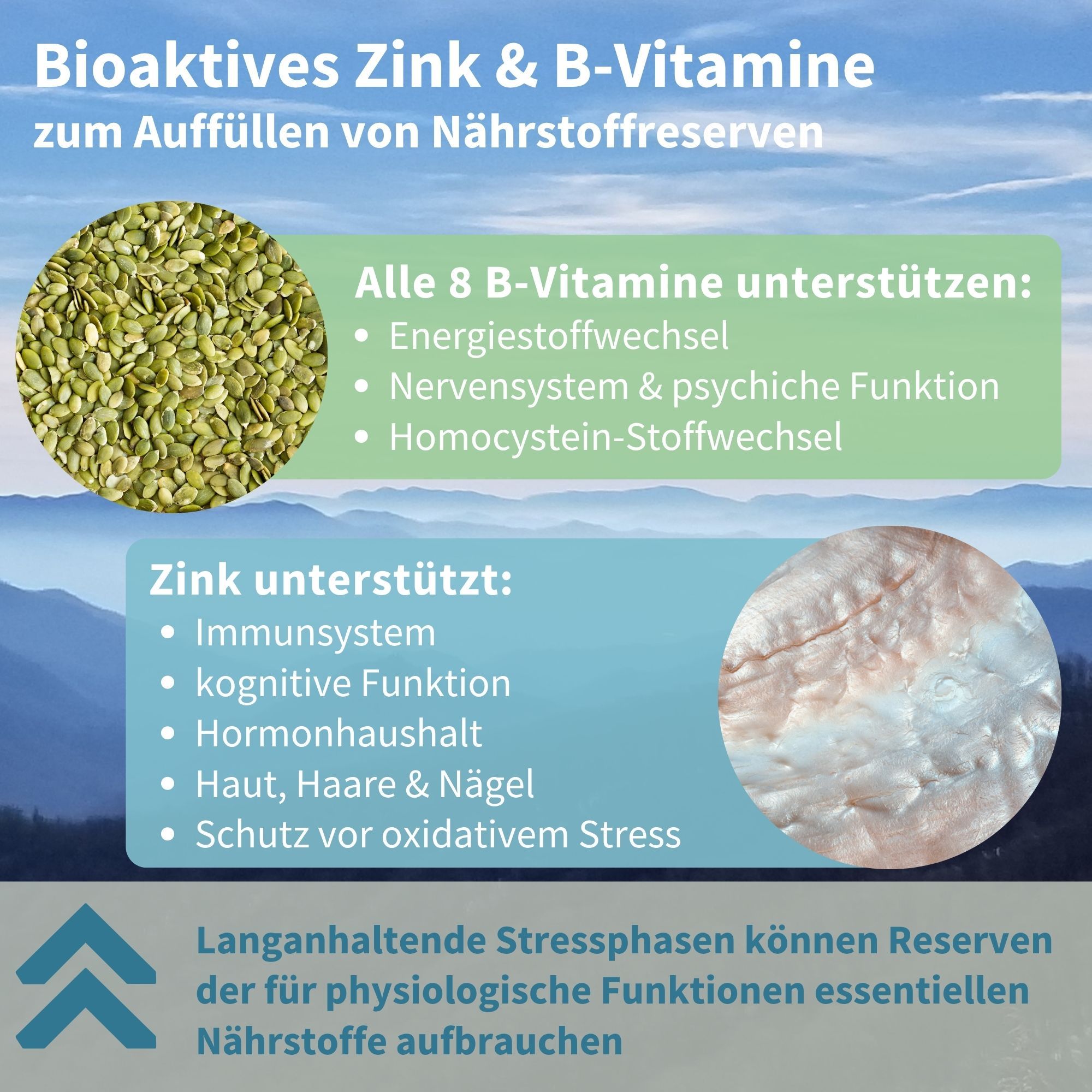 Infografik: Bioaktives Zink & B-Vitamine zur Auffüllung von Nährstoffreserven.