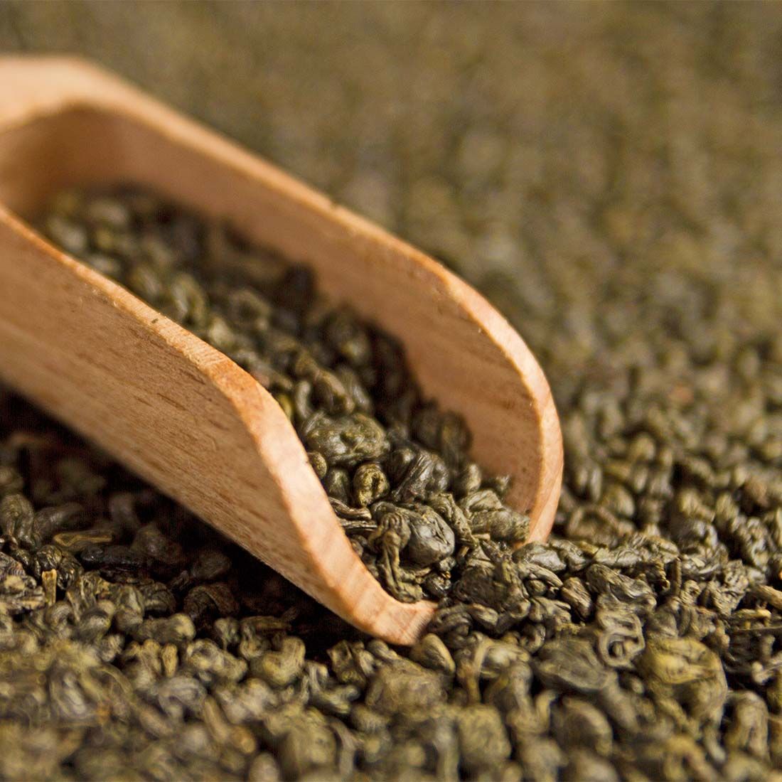 Holzlöffel mit grünem Tee. Lose, kleine, gerollte Blätter. Nahaufnahme.