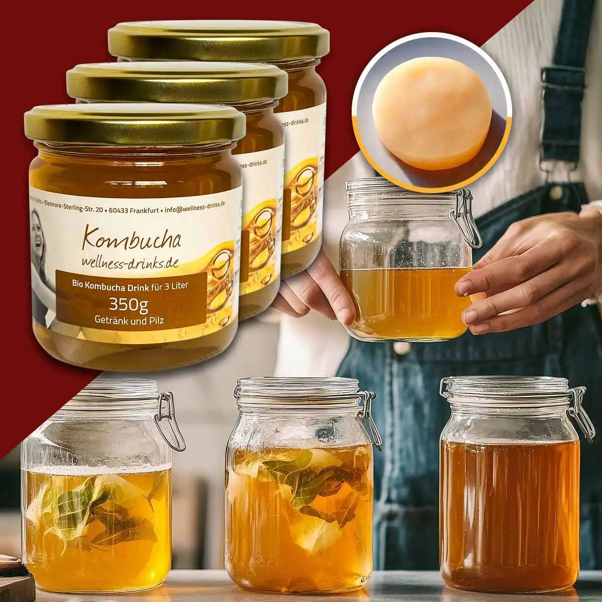 WELLNESS-DRINKS Bio-Kombucha mit lebendem Kombucha-Pilz (SCOBY)