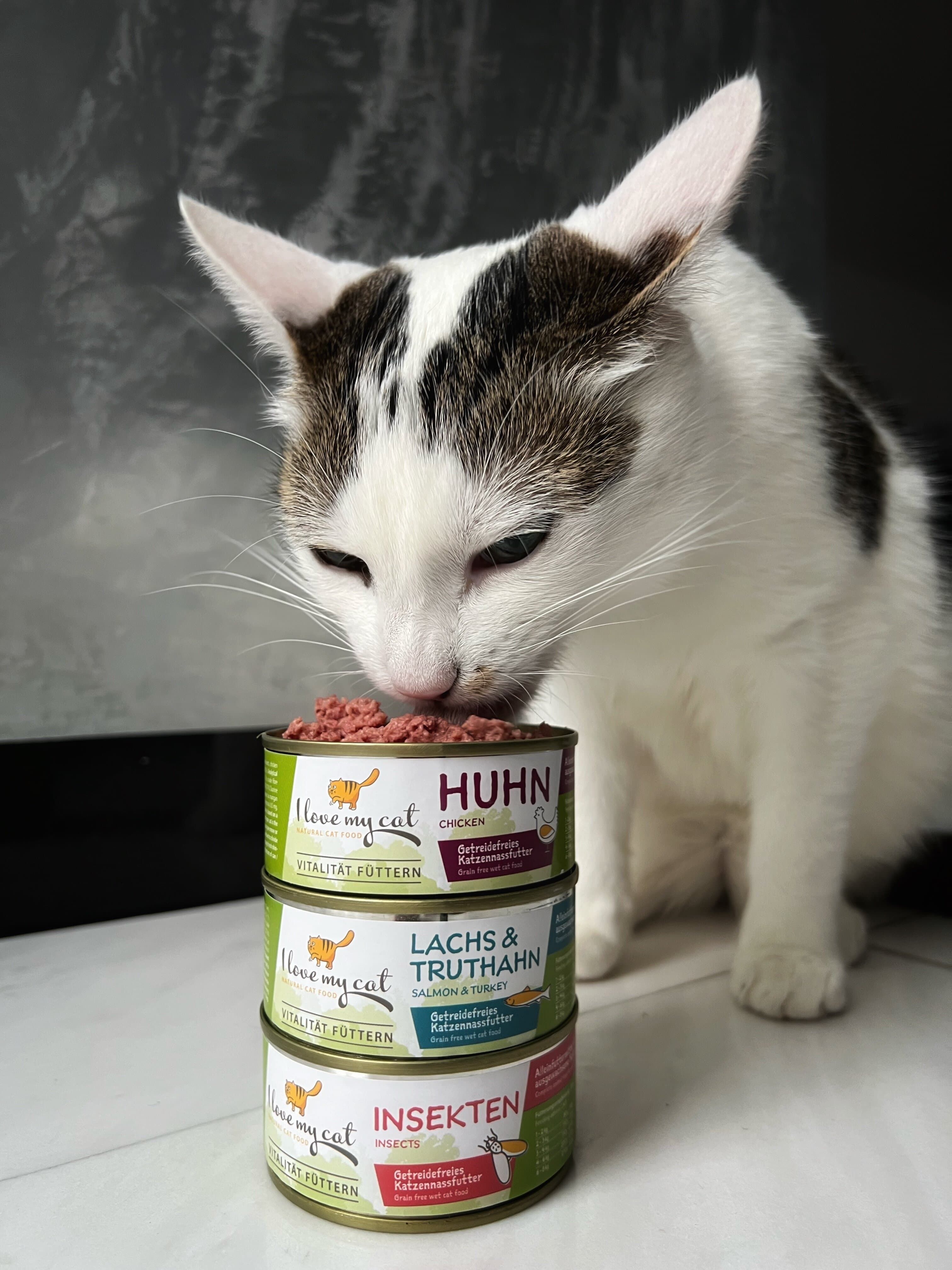 I love my cat Katzenfutter Nass mit Huhn