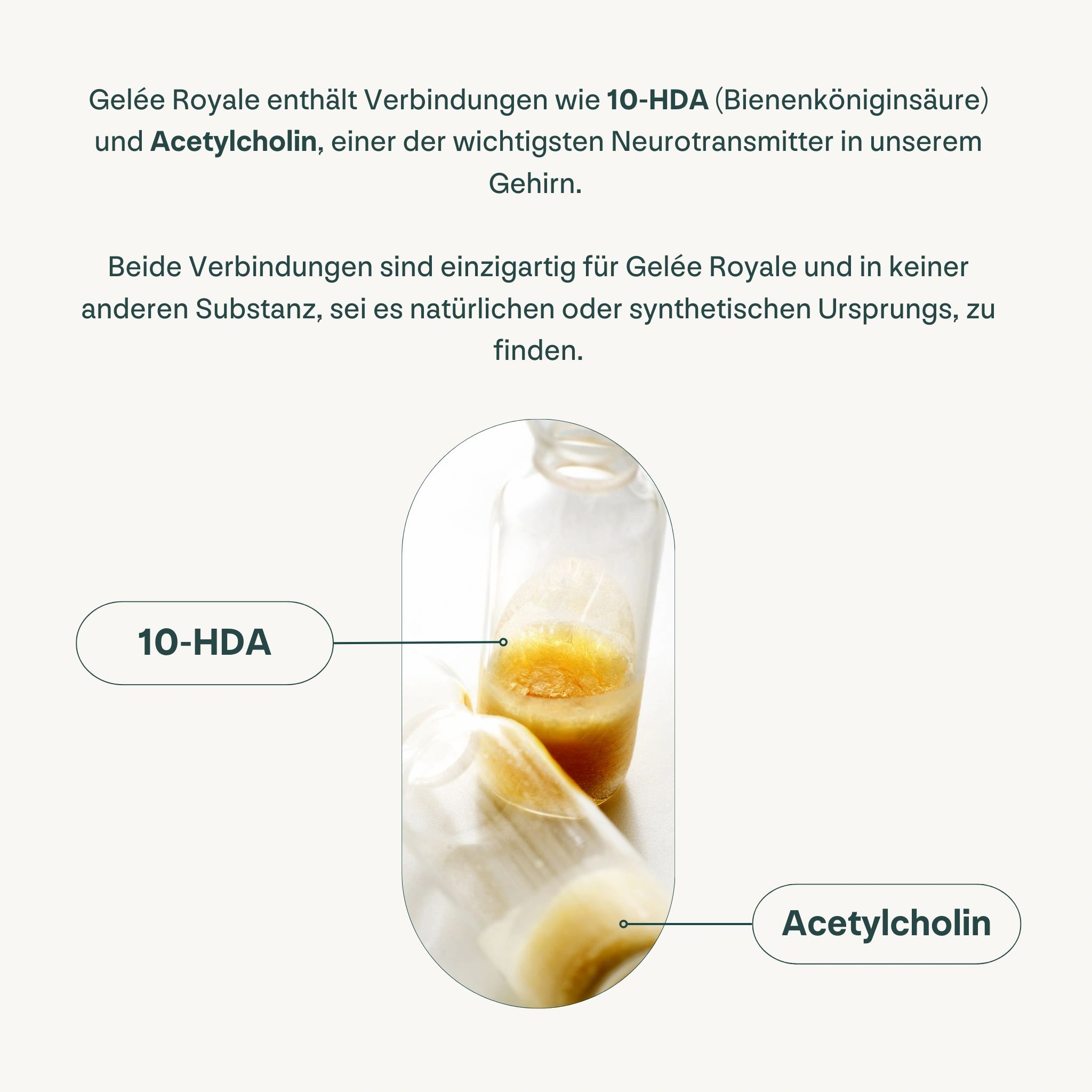 Zwei Fläschchen mit Flüssigkeit. Enthält 10-HDA und Acetylcholin. Einzigartig für Gelée Royale.