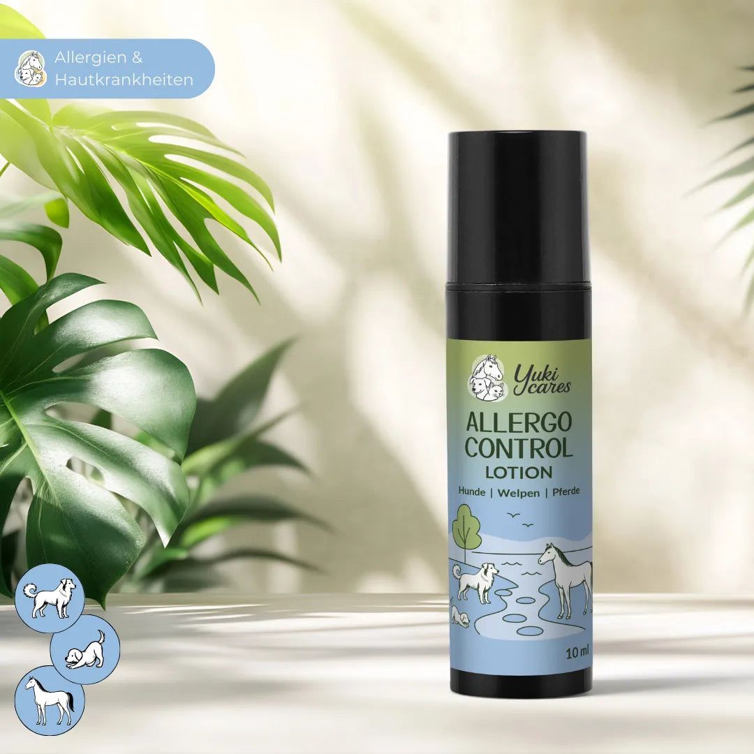Lotion-Flasche mit schwarzem Deckel. Aufschrift: Allergo Control Lotion für Hunde, Welpen und Pferde. Grün-weißer Aufkleber.