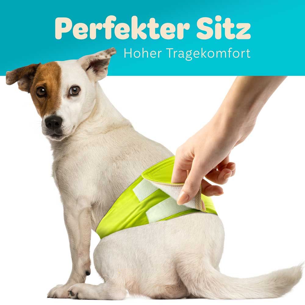 Hund mit Windel. Text: Perfekter Sitz, Hoher Tragekomfort. Windel in grün mit Klettverschlüssen.