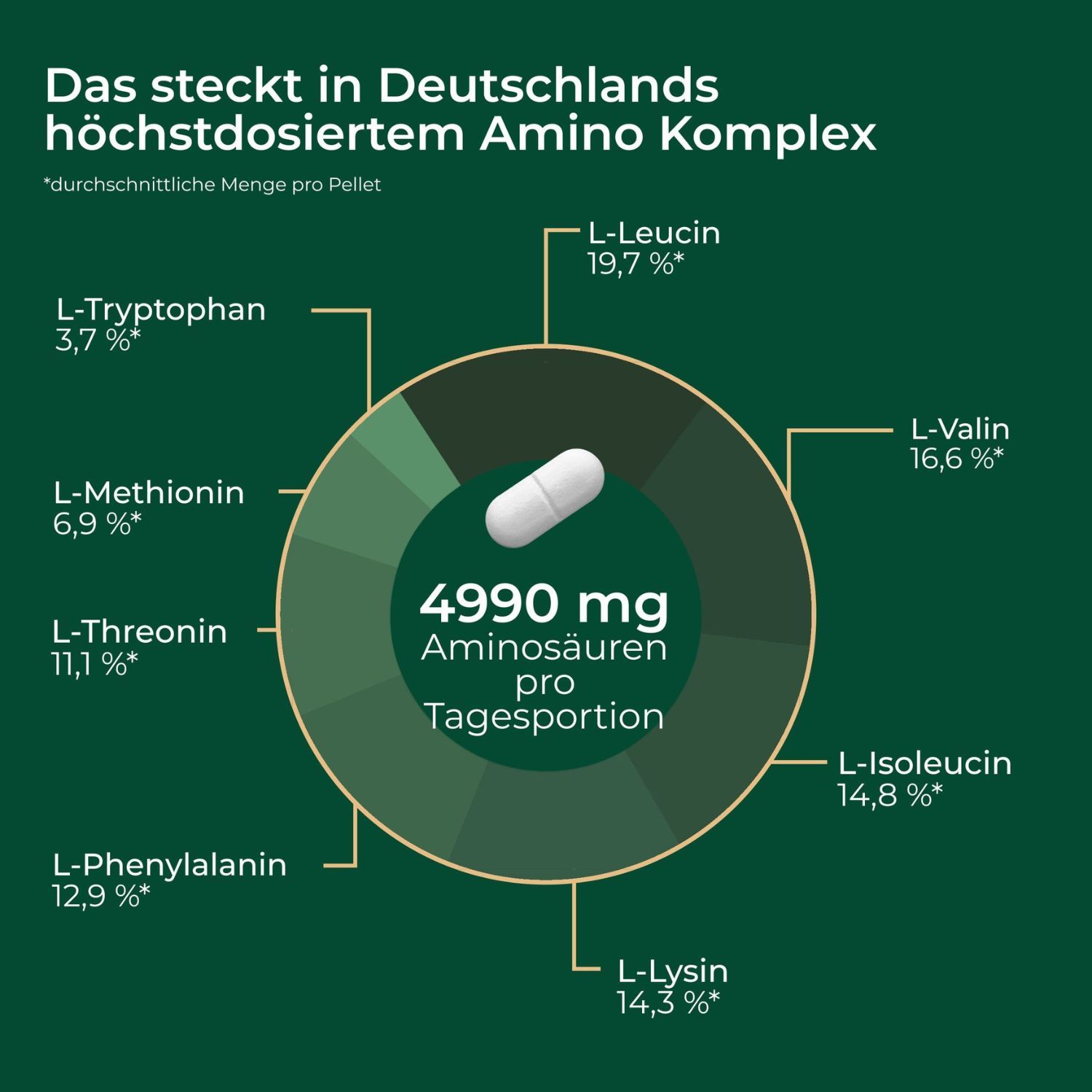 Kreisdiagramm mit Aminosäuren-Zusammensetzung von Viktilabs Amino-8.