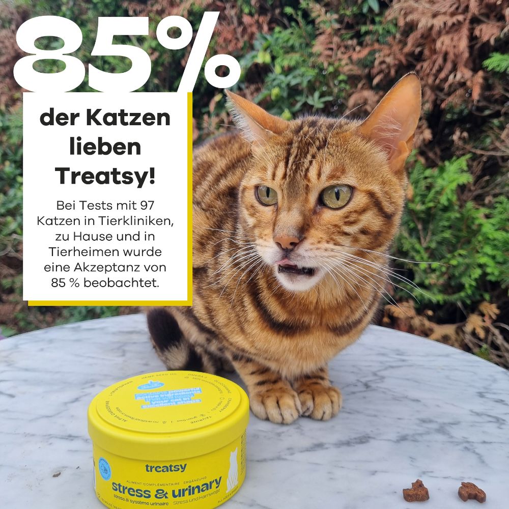 Katze sitzt neben Dose "treatsy stress & urinary". Text: 85% der Katzen lieben Treatsy!