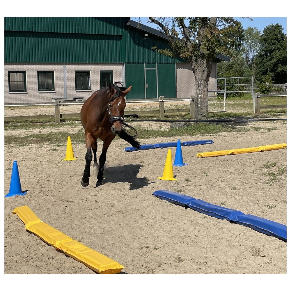 Pferdetraining mit Dönges XXL Pylonen. Gelbe und blaue Kegel auf Sandboden.