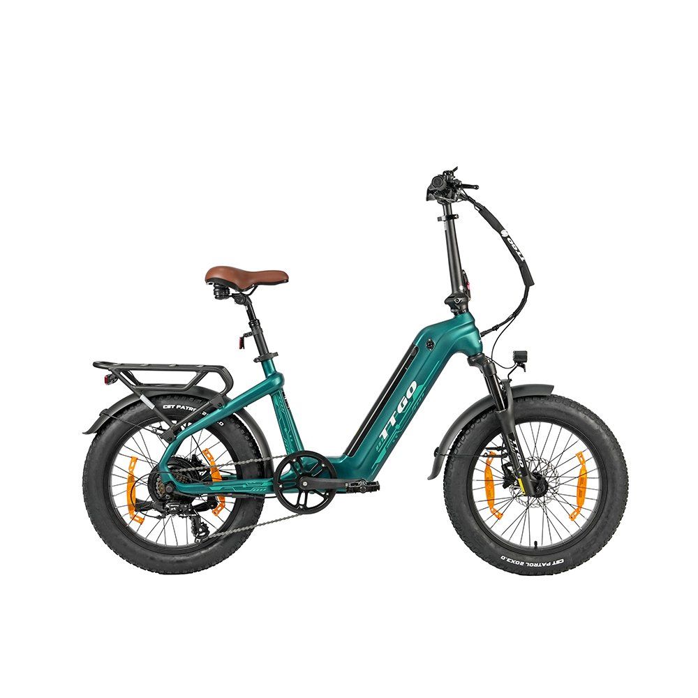 TTGO F8 E-Bike aus Carbonfaser, 48V 18Ah Akku (versteckt)