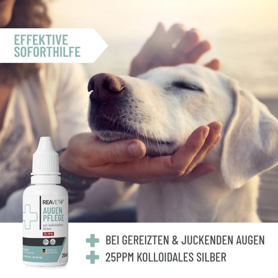 Augenpflege mit kolloidalem Silber - ReaVET
