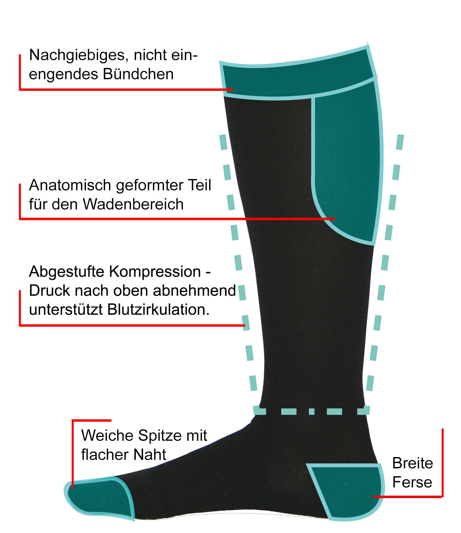 Schwarz-weiße Illustration eines Kompressionsstrumpfes. Beschriftungen zeigen Merkmale.