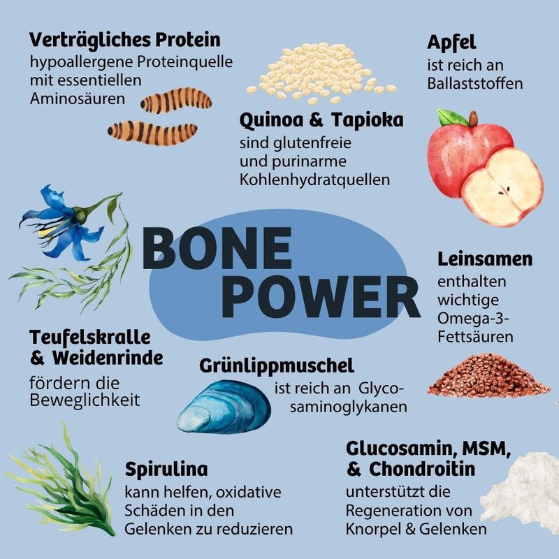 BugBell Trockenfutter BonePower - Knochen & Gelenke
