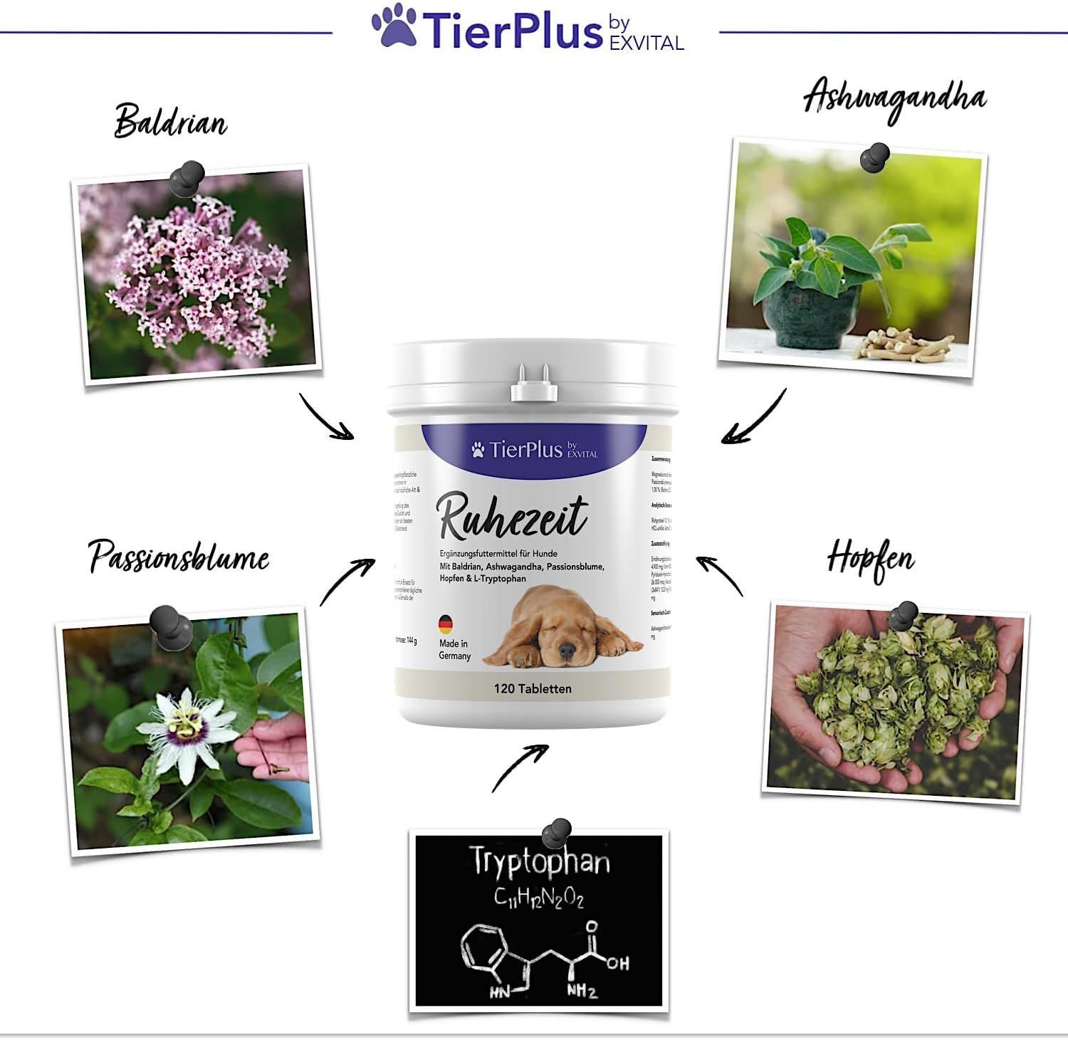 EXVital® TierPlus Ruhezeit Tabletten für Hunde mit Baldrian und Ashwagandha