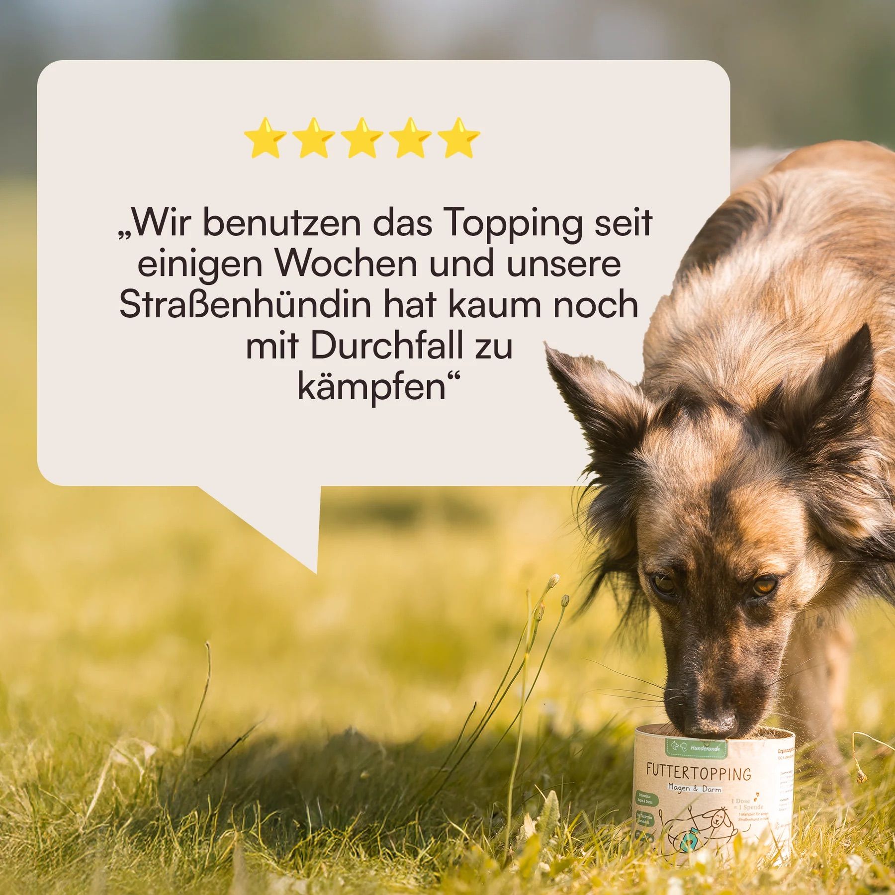 Hund frisst aus Dose Futtertopping. Zitat: Durchfall kaum noch. Dose Futtertopping Magen & Darm.
