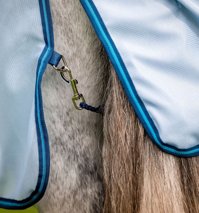 Detail der Decke mit Schnalle und blauem Band. Befestigung am Pferd.