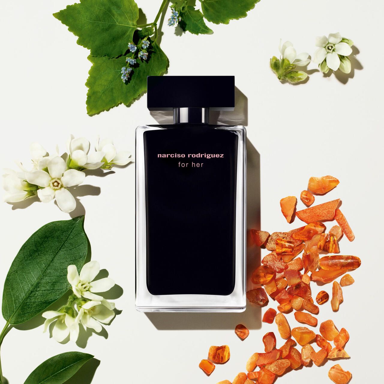 Narciso Rodriguez, For Her Set