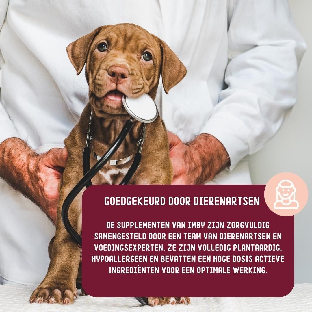 Imby Skin Health - Pflanzliche Kausnacks für Haut und Fell des Hundes