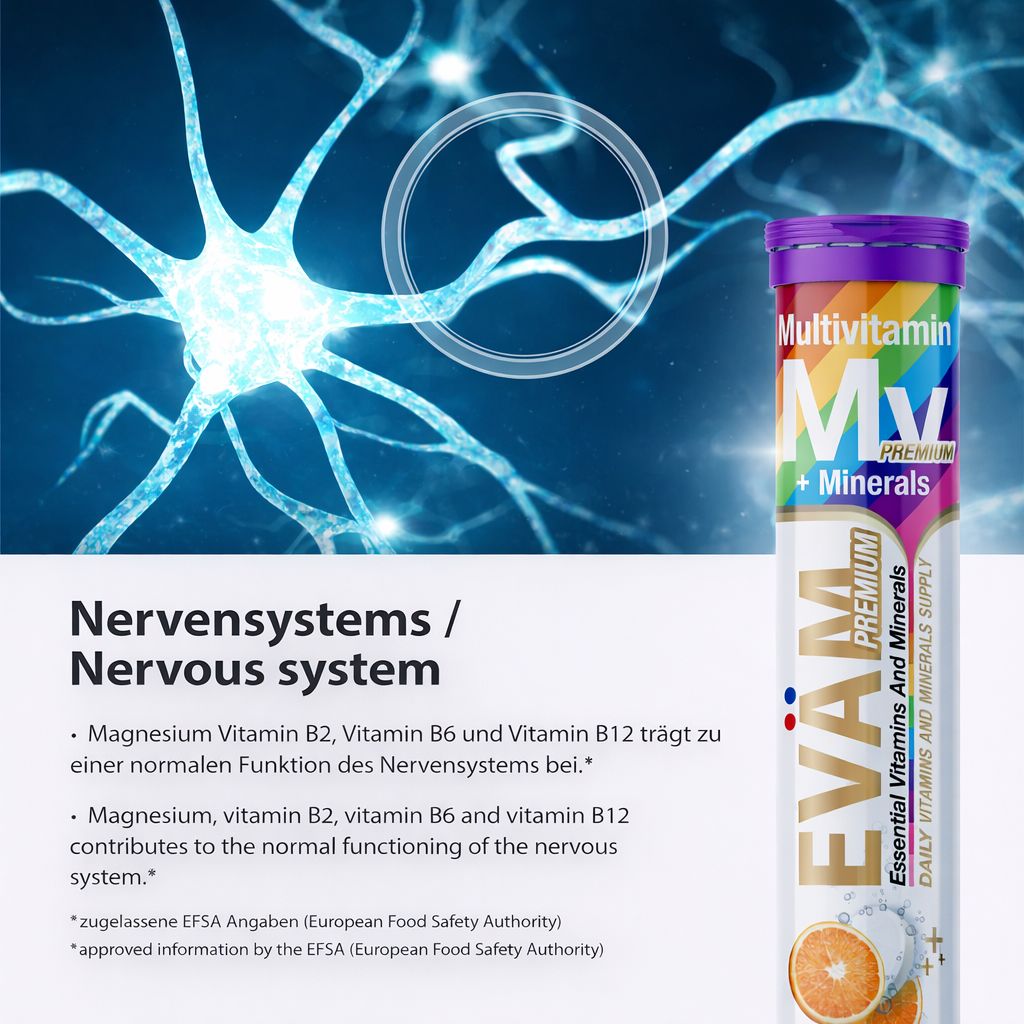 EVÄM Multivitamin + Mineralien Brausetablette neben einem Bild von Nervenzellen. Text: Nervensystem. Inhaltsstoffe.