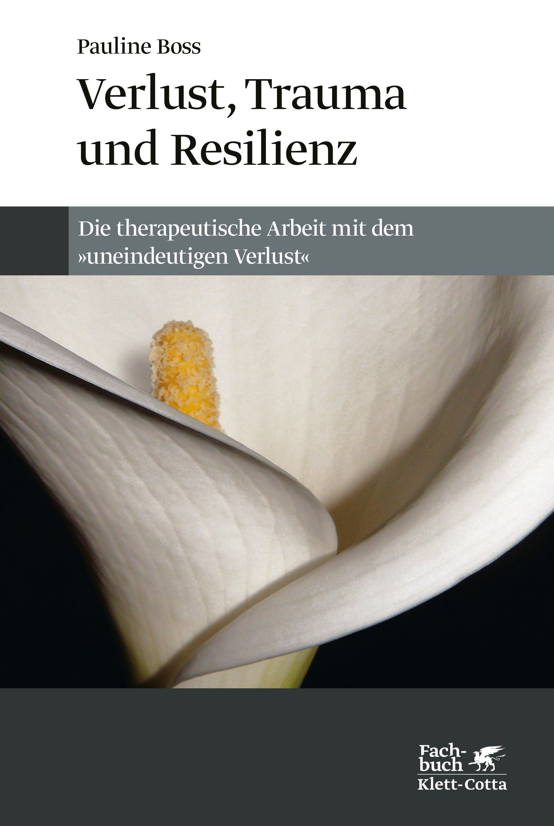 Buchrückseite. Titel: 'Die therapeutischen Möglichkeiten für persönliche Tragödien'. Text und ISBN-Code.