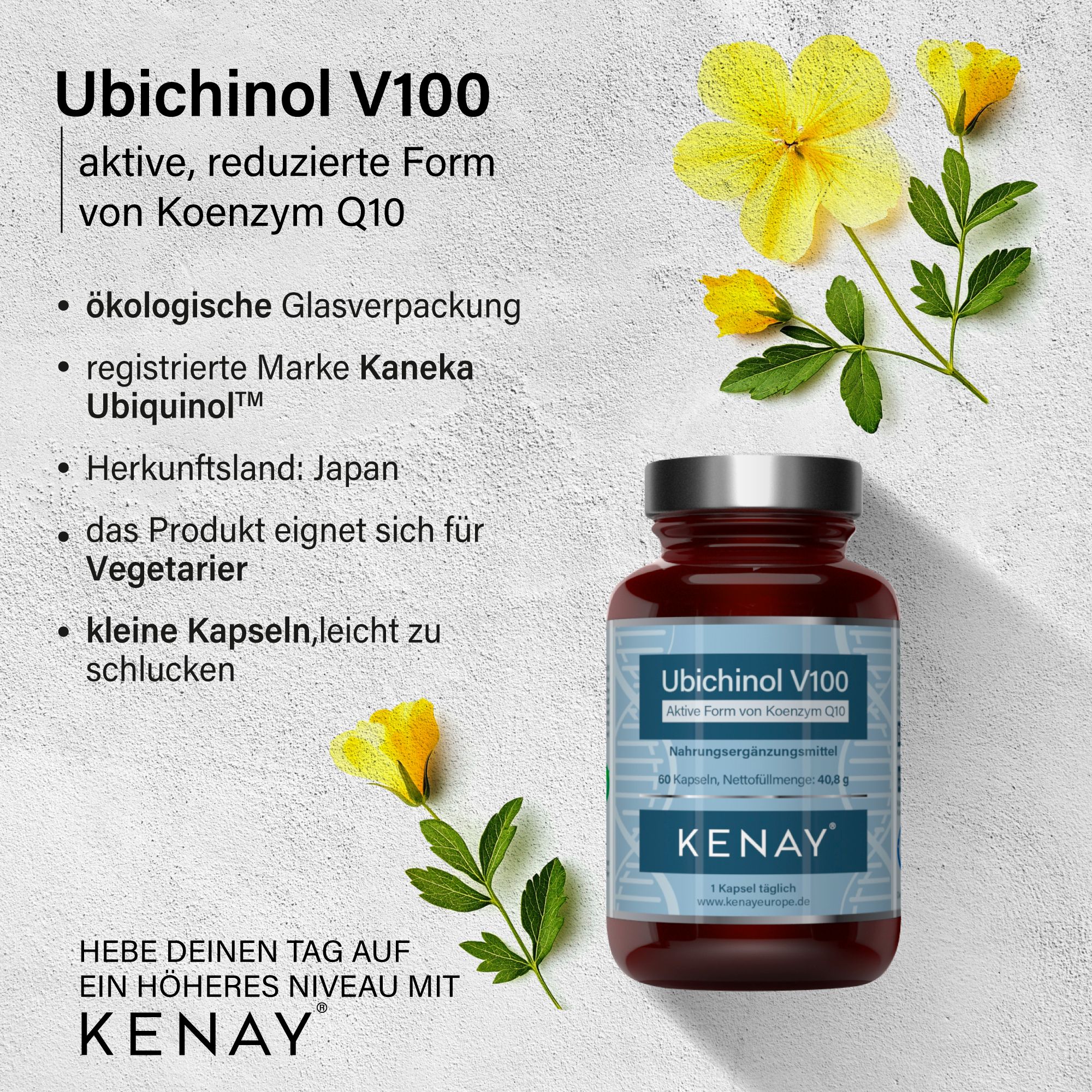 Ubichinol V100 Aktive Form von Koenzym Q10  KENAY®