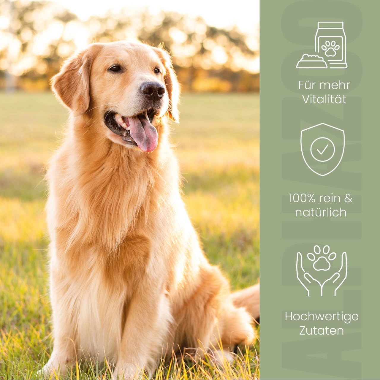 Goldener Retriever im Gras. Text: Für mehr Vitalität, 100% rein & natürlich, hochwertige Zutaten.