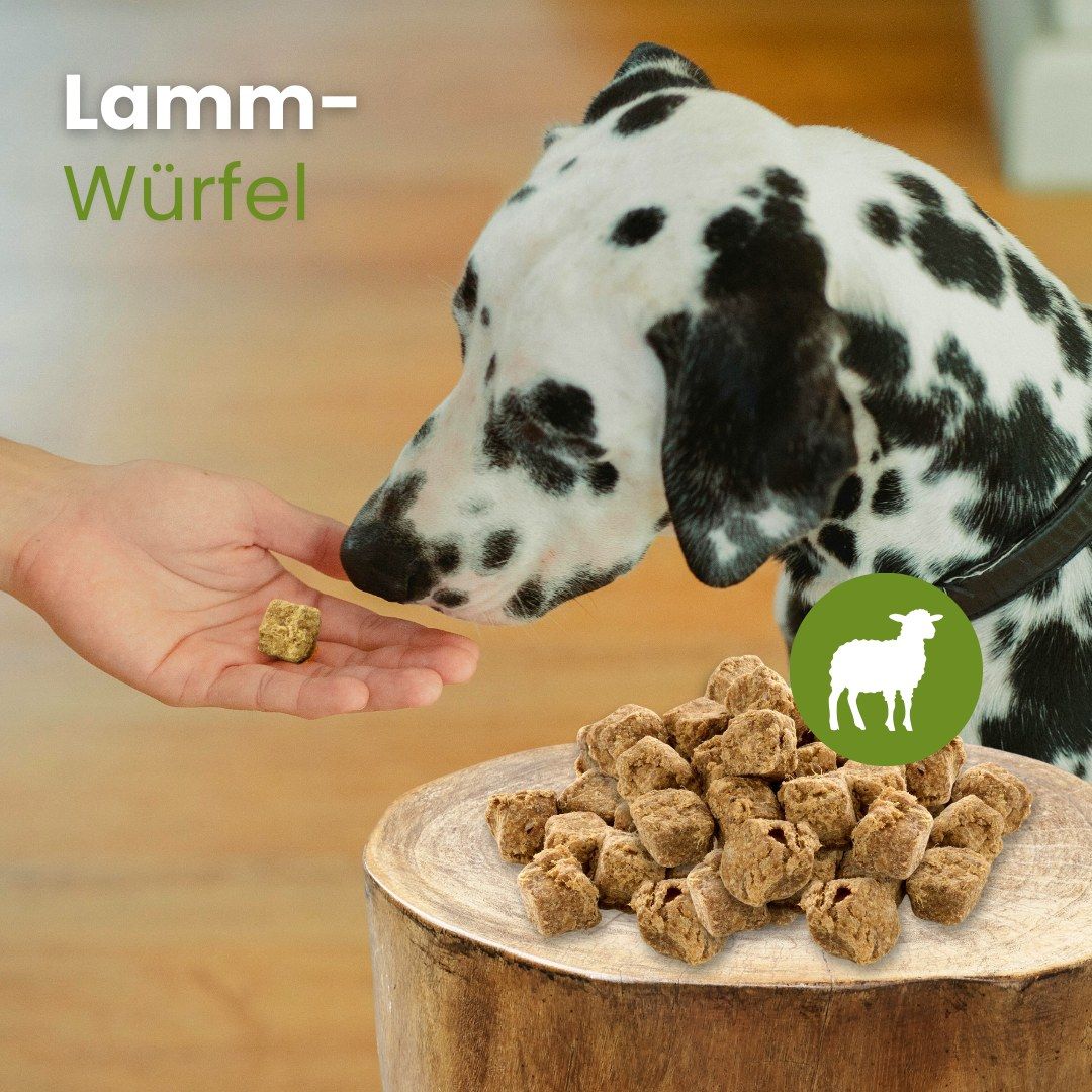 Ein Hund wird von einer Hand mit einem Lamm-Würfel gefüttert. Ein Holzteller mit Lamm-Würfeln daneben.