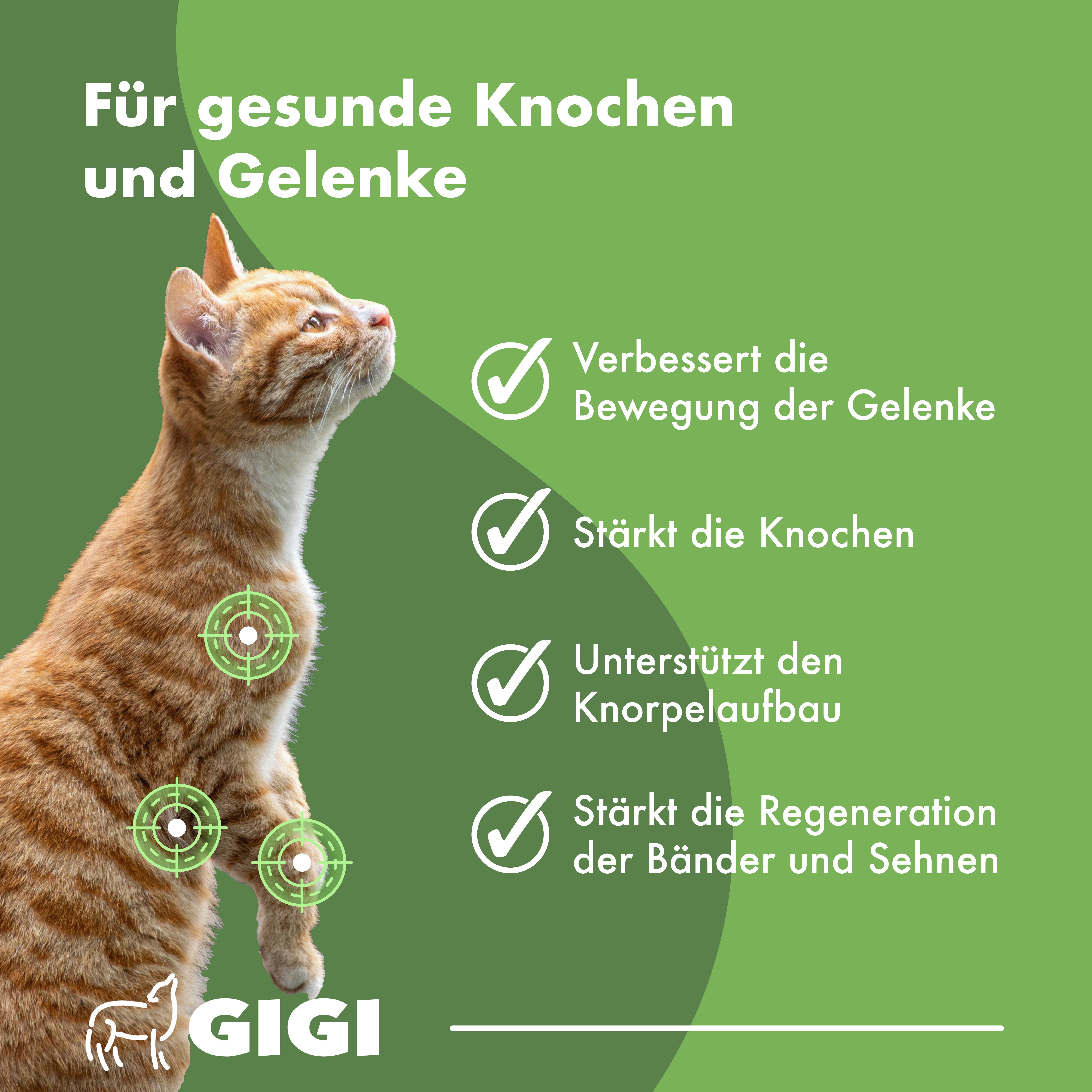 Katze mit grünen Markierungen an Gelenken. Text: Für gesunde Knochen und Gelenke. Vorteile: Beweglichkeit, Knochen, Knorpelaufbau, Sehnen.