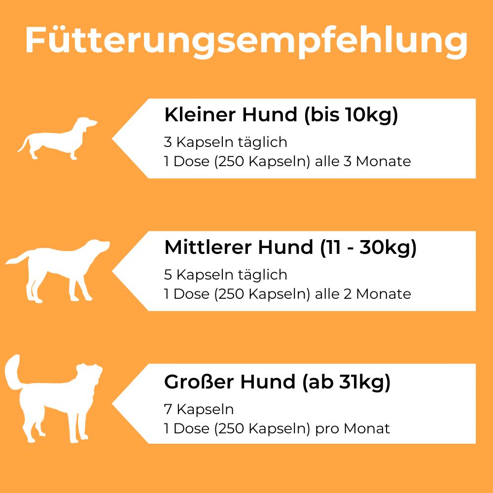 Dog-Native Gelenkkapseln für Hunde