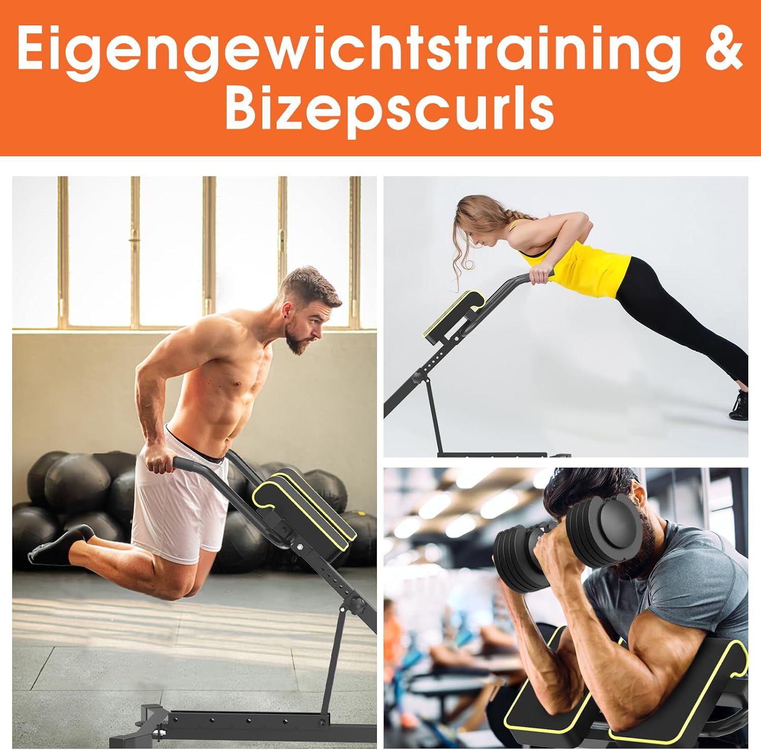 DH FitLife 5in1 verstellbarer Roman Chair