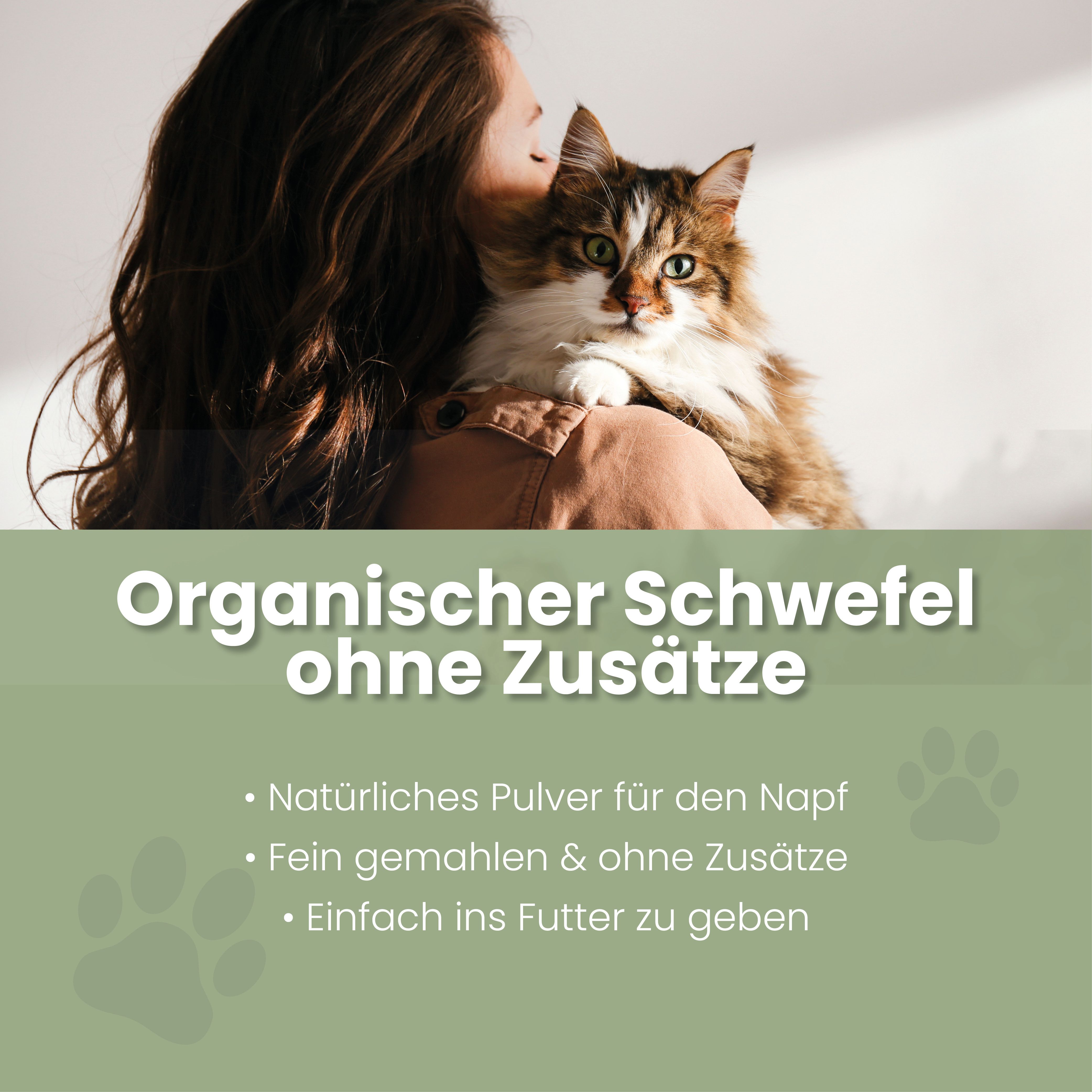 MSM Pulver für Katzen