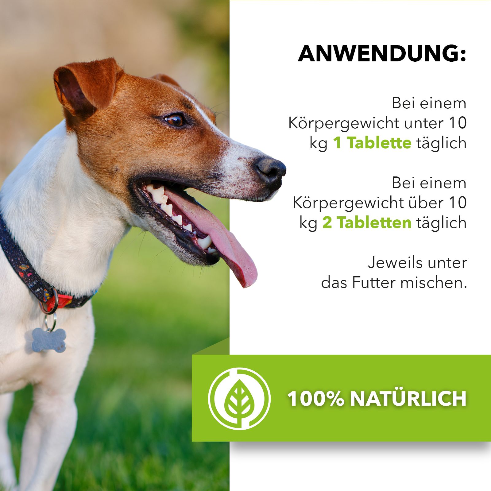 Saint Nutrition® | Wurm Tabletten | für Tiere