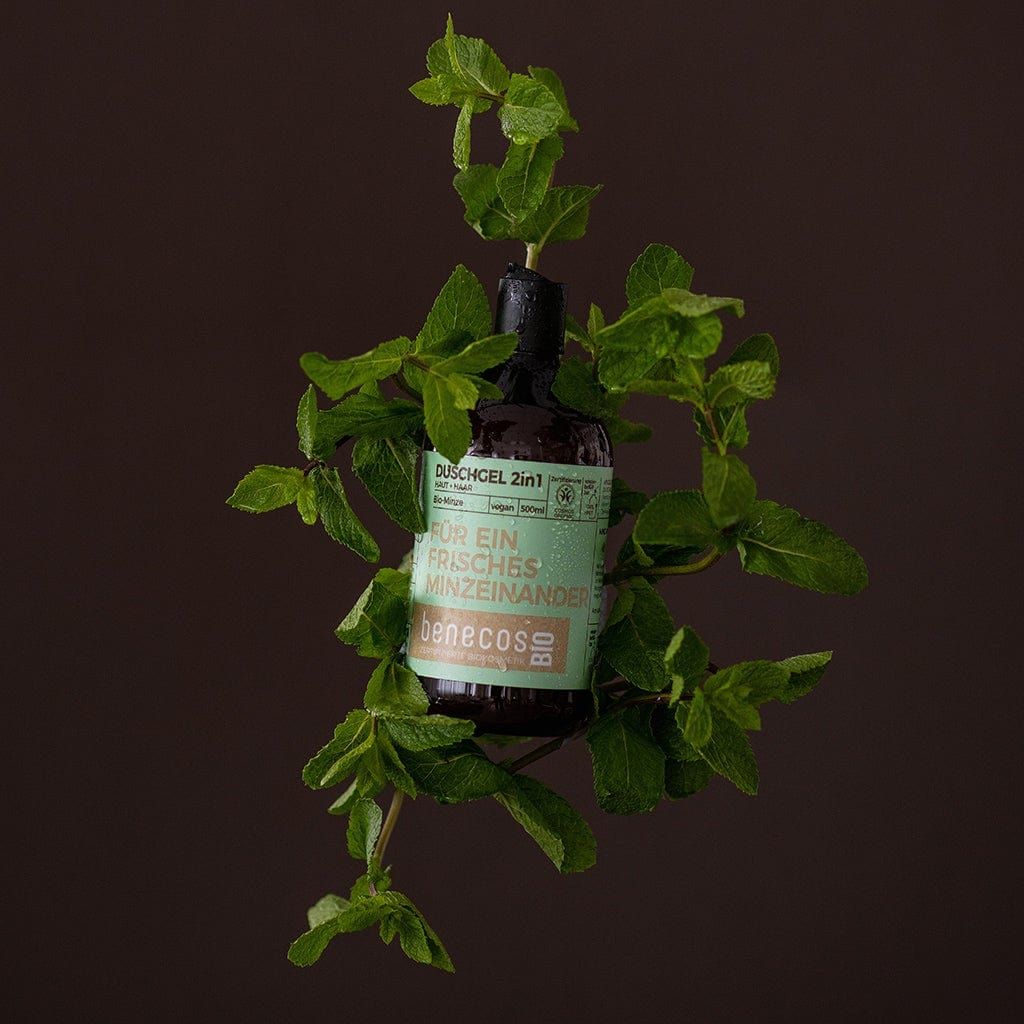 benecosBIO Duschgel 2in1 (Körper und Haare) BIO-Minze