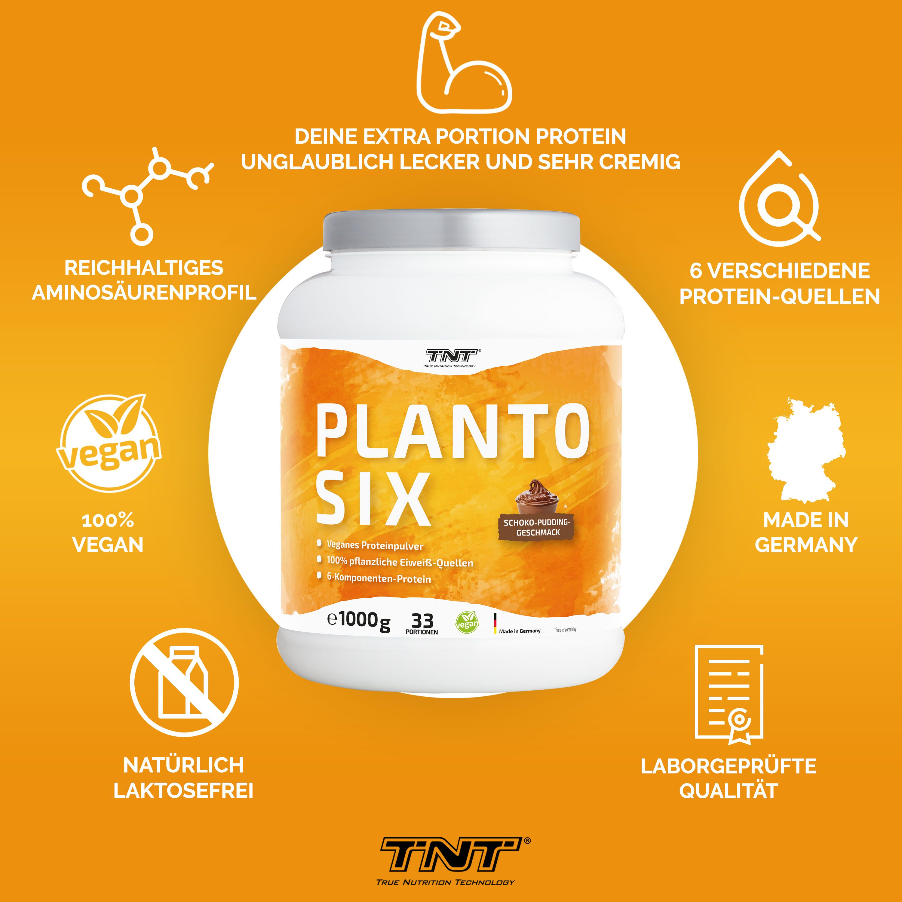 TNT Planto Six, veganes Mehrkomponenten Protein, super cremig und lecker im Schoko-Pudding Geschmack
