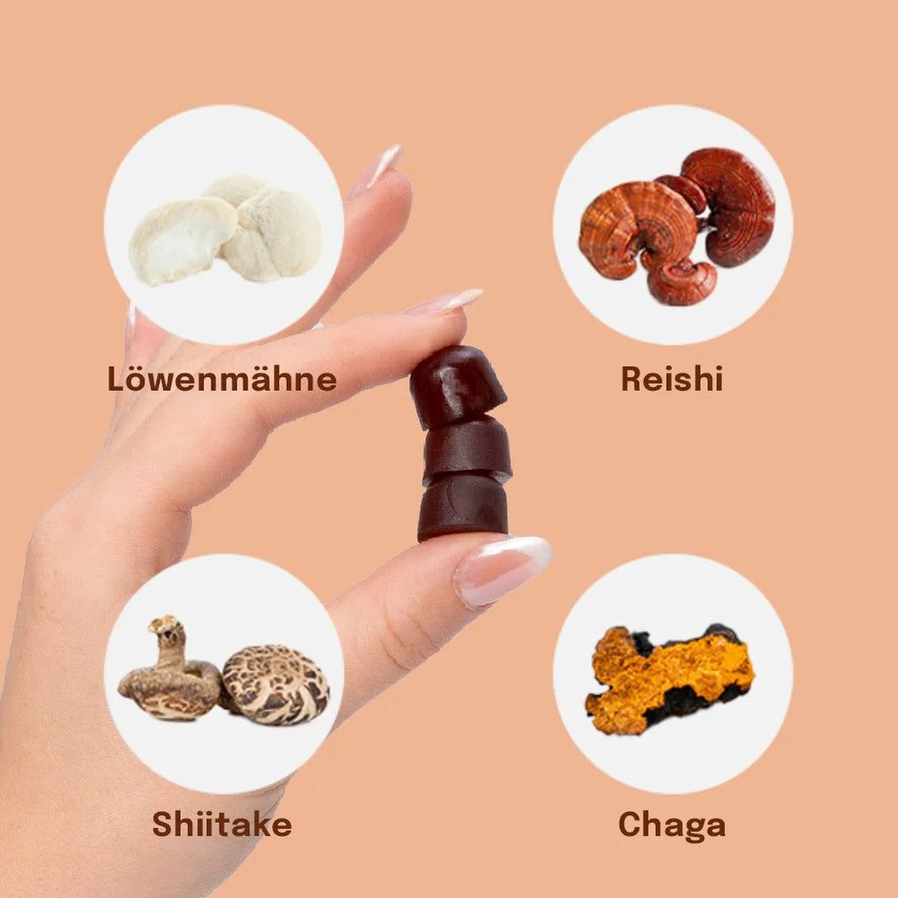 Sundt Vitalpilz-Gummies Mix