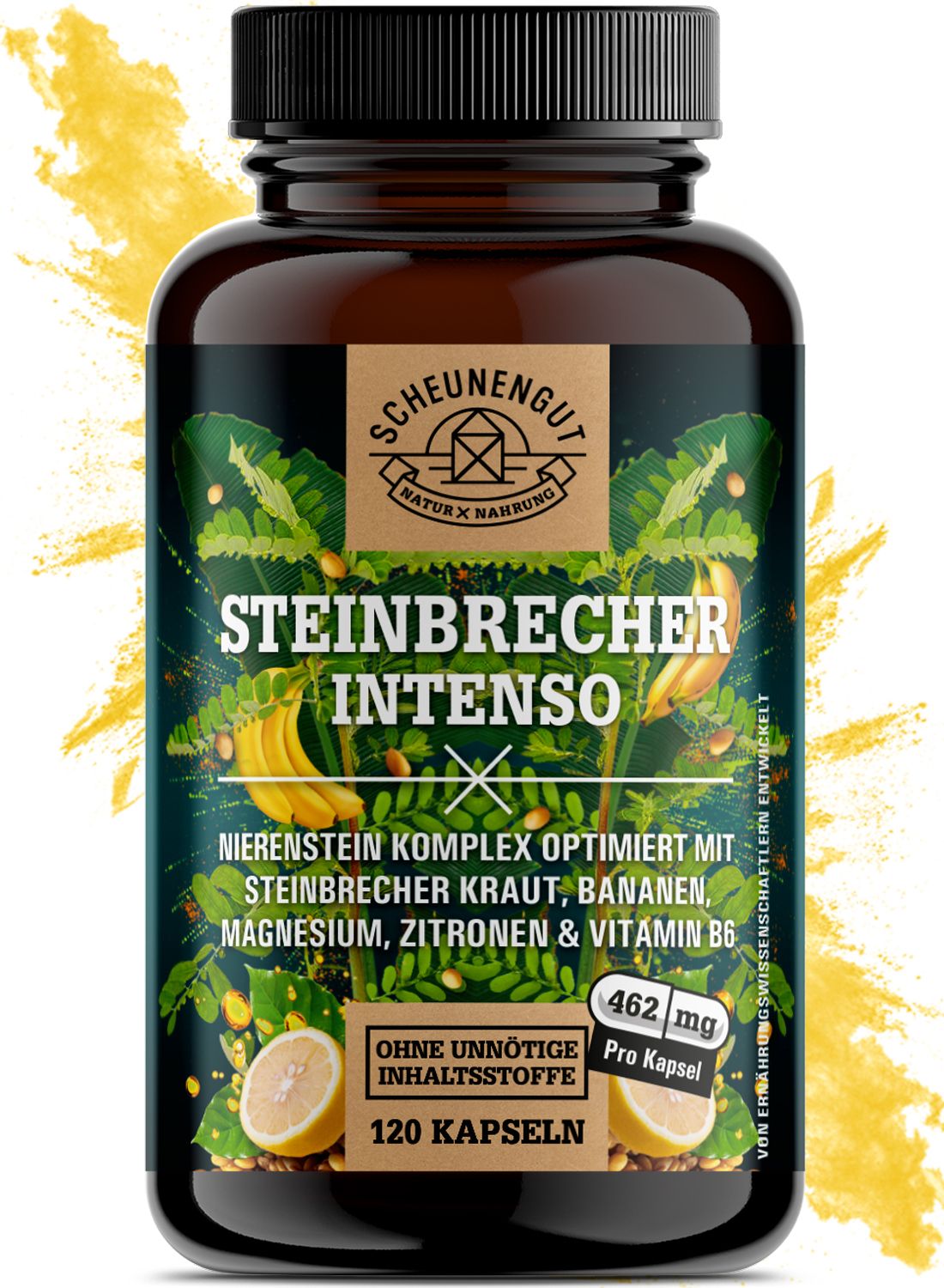 Scheunengut® Steinbrecher Intenso | Die Original Nierenstein-Formel aus der TCM | Chanca Piedra