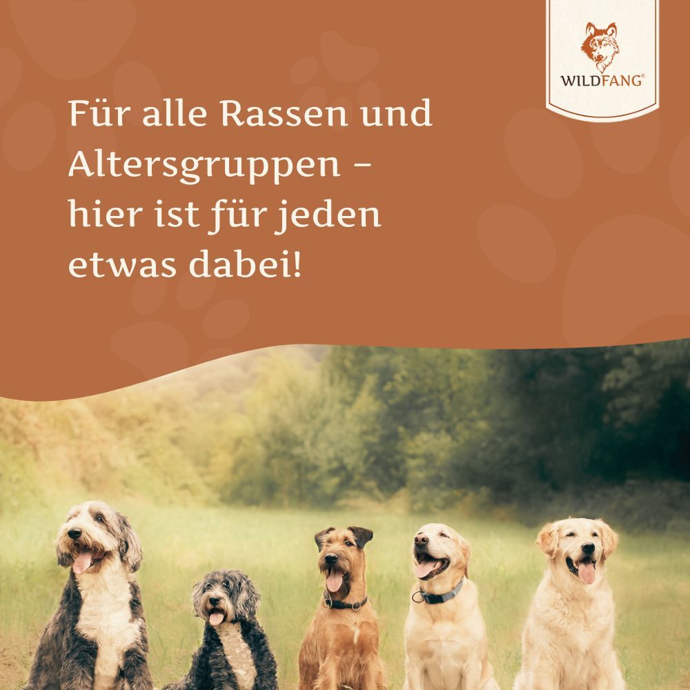 Lachsöl – 100 % natürliches BARF-Öl für Hunde