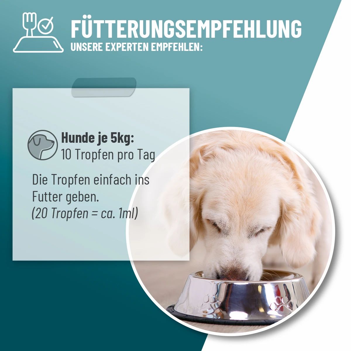 Hund isst aus einer Schüssel. Text: Fütterungsempfehlung. Hunde je 5kg: 10 Tropfen pro Tag. Die Tropfen einfach ins Futter geben.