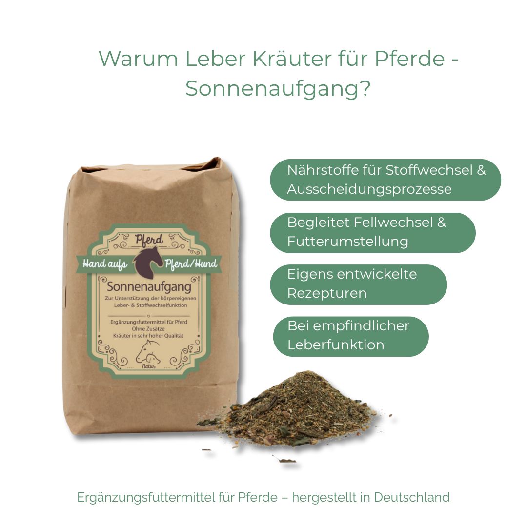 Braune Papiertüte mit Produktetikett. Text: Hand aufs Pferd/Hund, Sonnenaufgang. Grün umrandete Textblöcke mit Inhaltsangaben. Ergänzungsfuttermittel für Pferde.