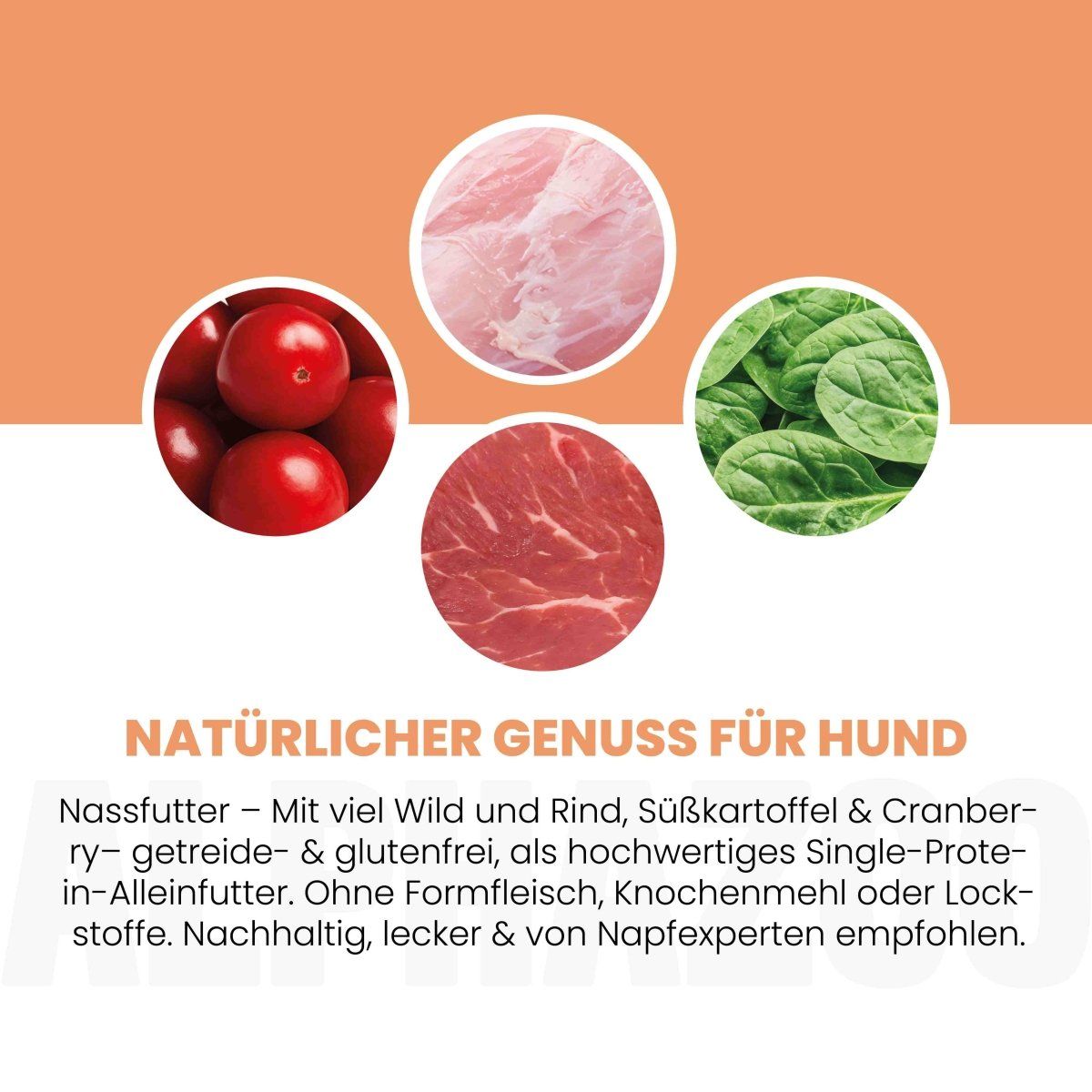 alphazoo Wild + Rind Nassfutter für Adult Hunde