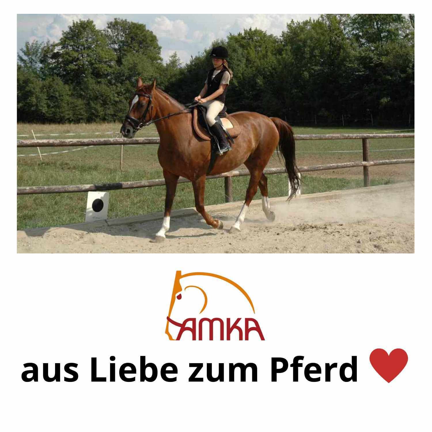 Reiterin auf Pferd in Reithalle. AMKA Logo und Text unten.