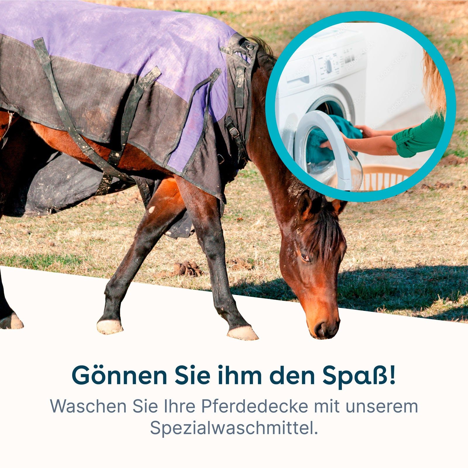 eco:fy Pferdedecken-Waschmittel