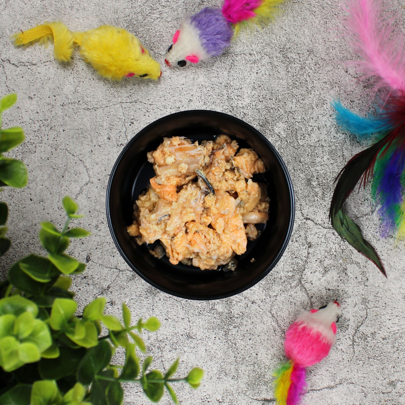 Schwarze Schale mit Katzenfutter, das aus Lachs und Soße besteht. Spielzeugmäuse und Pflanzen sind um die Schale herum angeordnet.