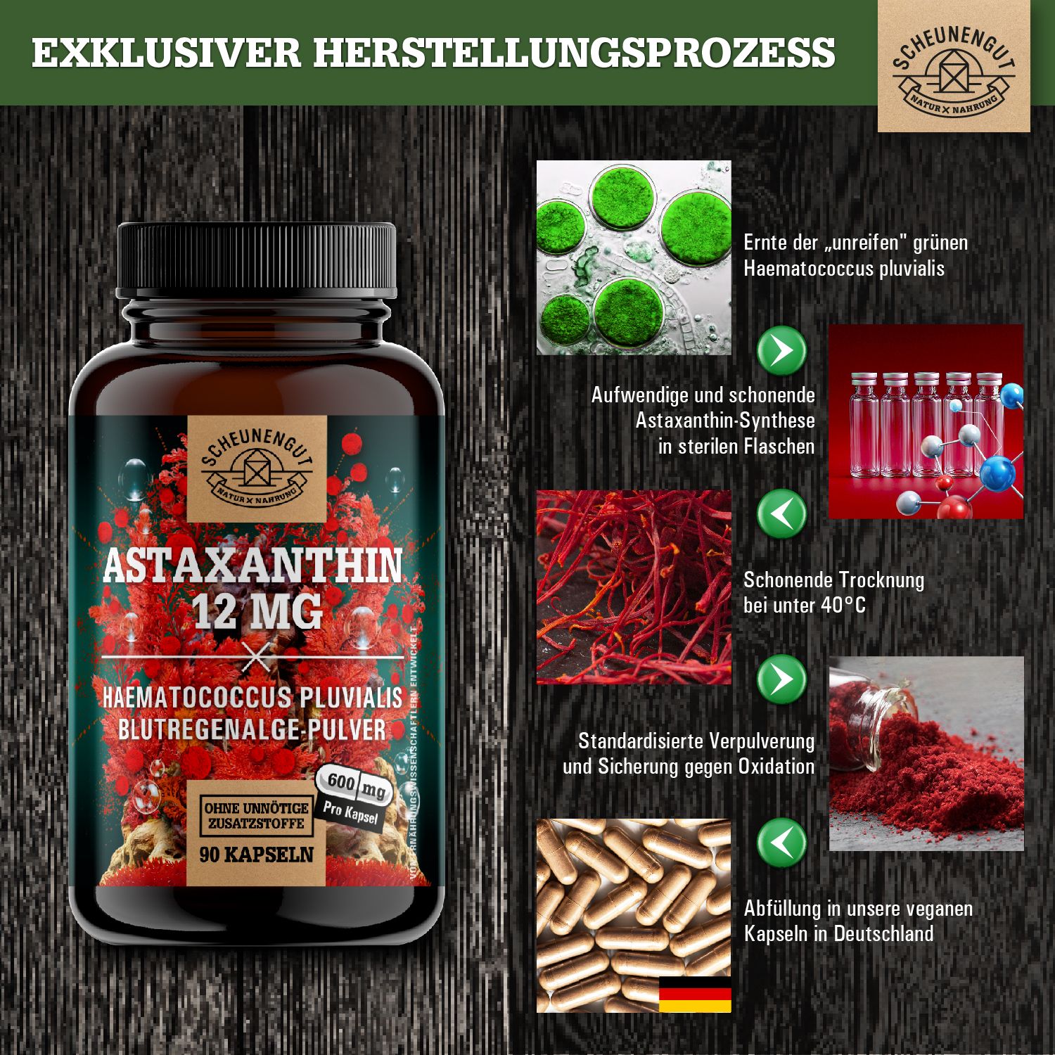 Scheunengut® Astaxanthin 12mg | 100% vegan Antioxidans aus Blutregenalge Haematococcus Pluvialis 90 St Kapseln