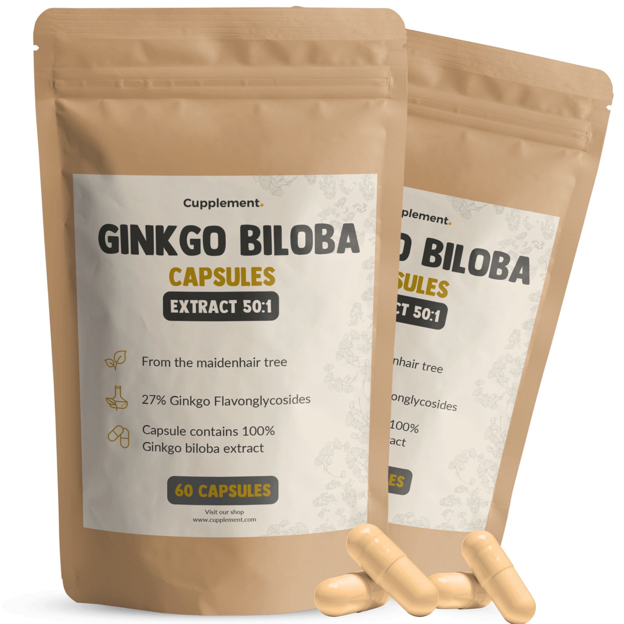 Zwei Beutel mit Ginkgo Biloba Kapseln. Aufschrift: 60 Kapseln, 27% Flavonglykoside, 100% Ginkgo-Extrakt.