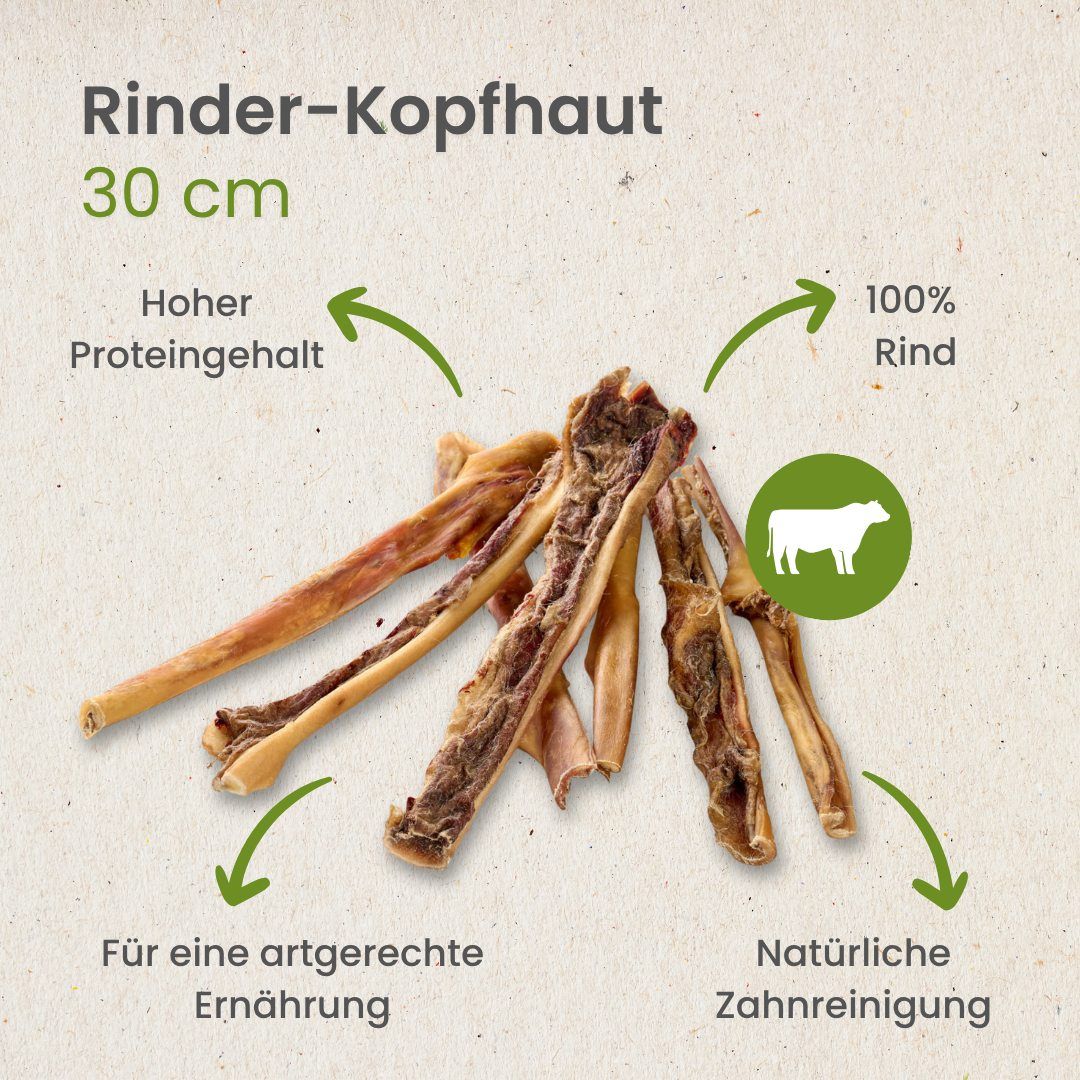 Text über die Wichtigkeit von Kauartikeln für Hunde, mit Illustrationen und einem Hund.