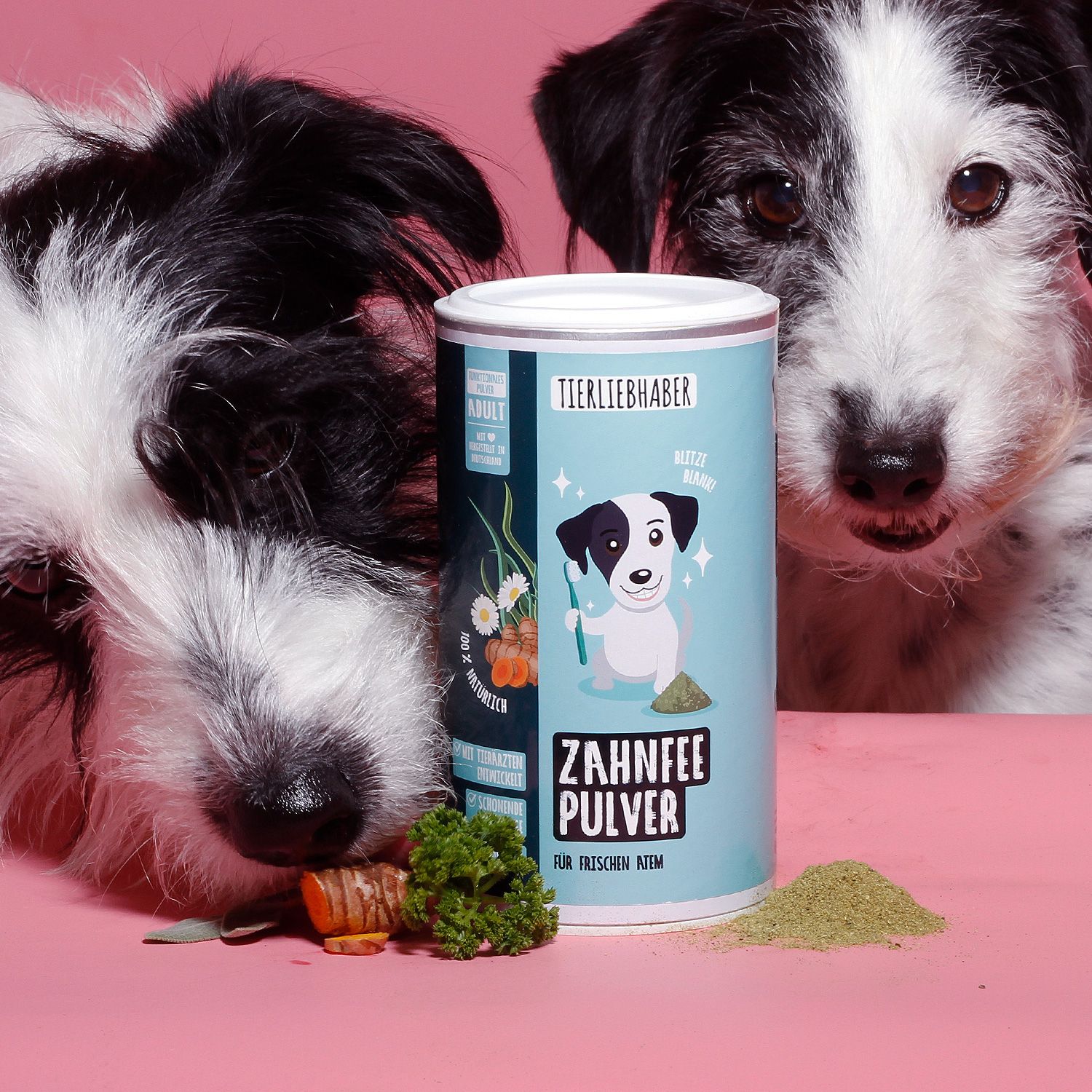 Zwei Hunde mit Zahnfee Pulver Dose. Aufschrift: Tierliebhaber, Zahnfee Pulver, für frischen Atem.
