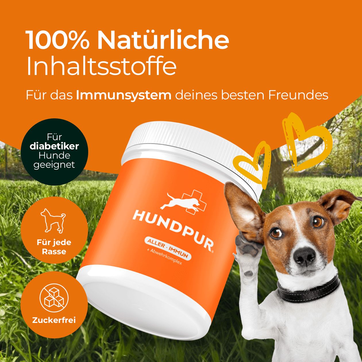 Hundpur® Aller-Immun MIT Abwehr-Komplex 300 g